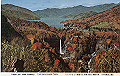nikko-zenshu11_thumb.png