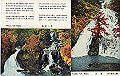 nikko-zenshu14_thumb.png