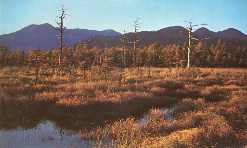 okunikoo05.jpg