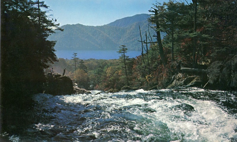 okunikoo06.jpg