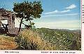 okutama03_thumb.png