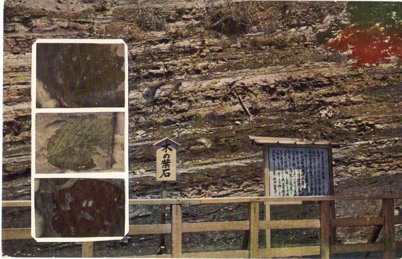 shiobara04.jpg