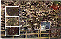 shiobara04_thumb.png