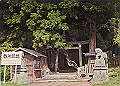 shirakawa03_thumb.png