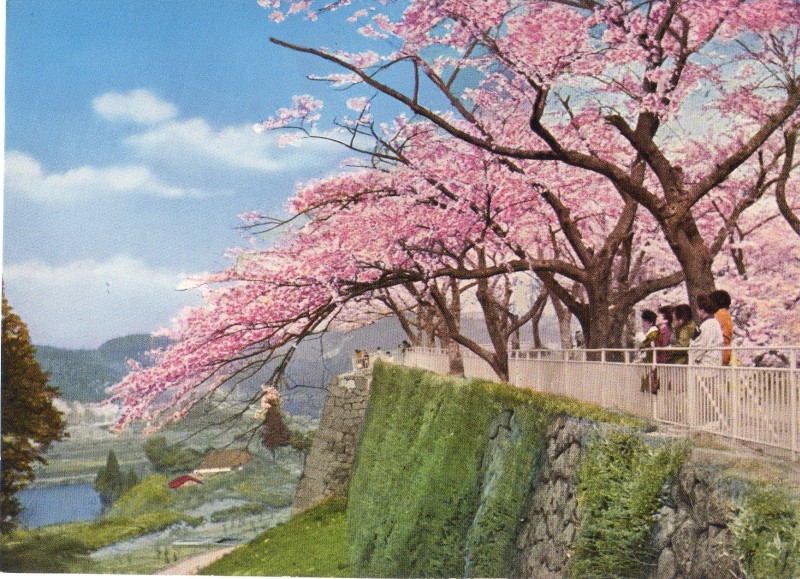 shirakawa05.jpg