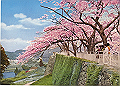 shirakawa05_thumb.png