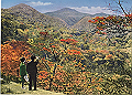 shirakawa06_thumb.png