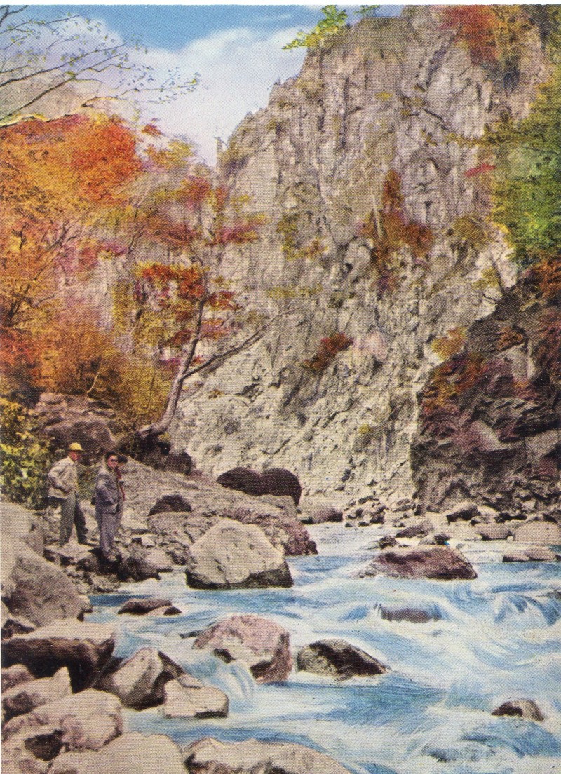 shirakawa07.jpg