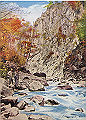 shirakawa07_thumb.png