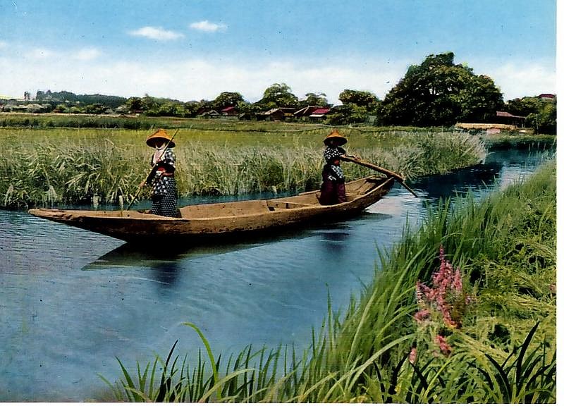suigou005.jpg