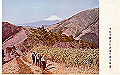 tanzawa1-003_thumb.png