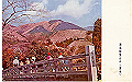 tanzawa1-009_thumb.png