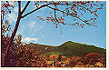 tukuba02_thumb.png