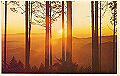 tukuba05_thumb.png