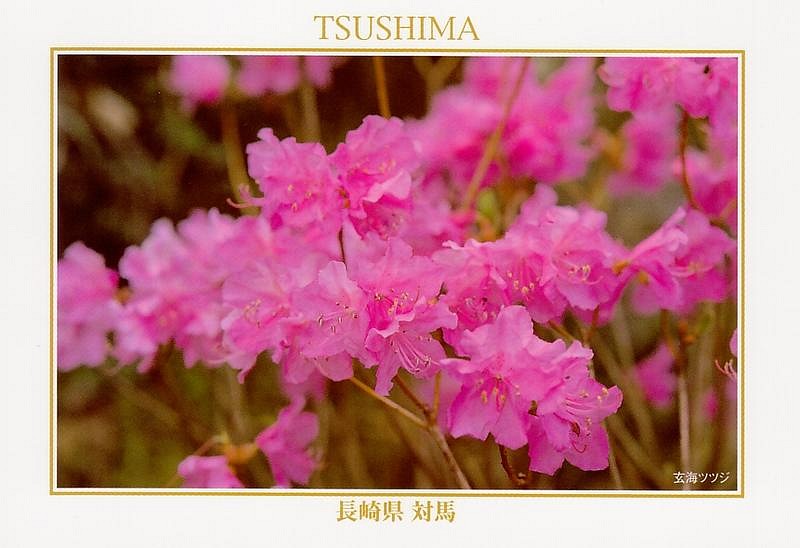 tsushima-08.jpg
