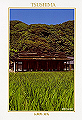 tsushima-10_thumb.png