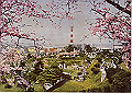 yokohama05_thumb.png
