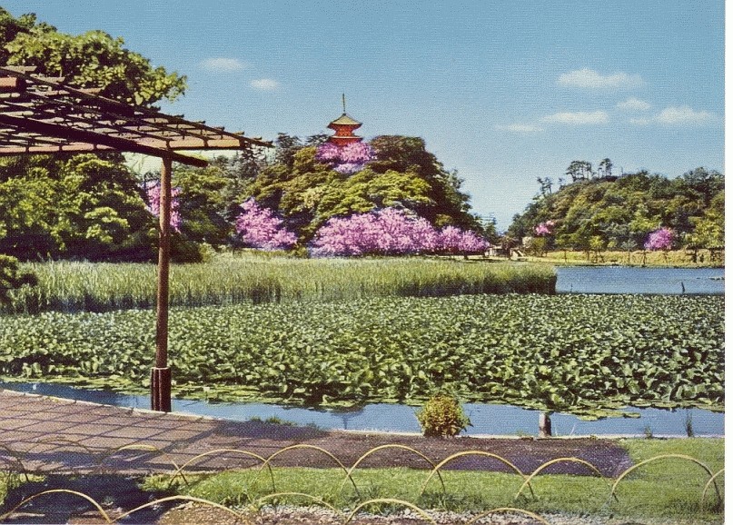 yokohama06.jpg