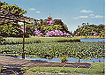 yokohama06_thumb.png