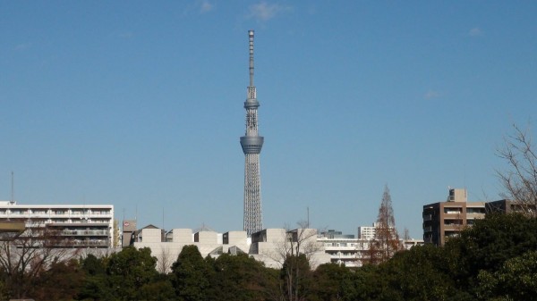 下は東京都現代美術館