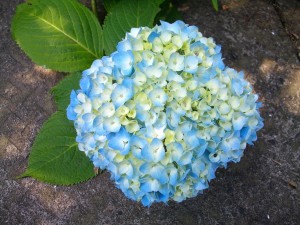 6月4日