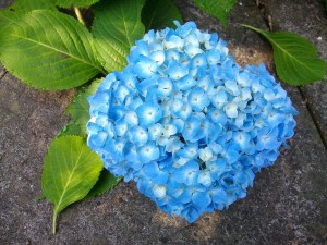 6月7日