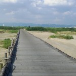 SA3A0116.JPG