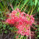 rps20120921_095937.jpg