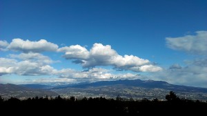 IMAG0186_3.jpg
