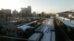 IMAG0221.jpg