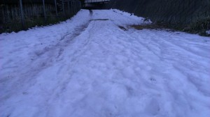 IMAG0223.jpg