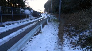 IMAG0225.jpg