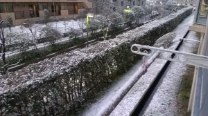 IMAG0236.jpg
