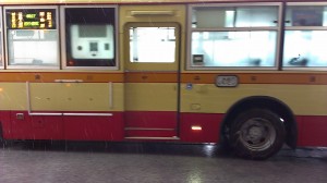 IMAG0238.jpg