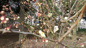 IMAG0243.jpg