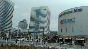 IMAG0253.jpg