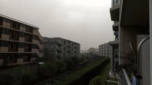 IMAG0260.jpg
