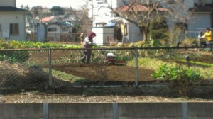 rps20130306_113154_460.jpg