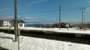 rps20130319_103548_598.jpg