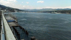 気仙沼魚市場