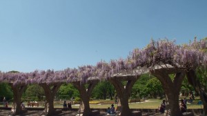 里見公園