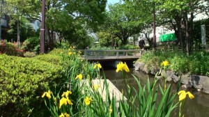 親水公園