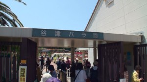 谷津バラ園