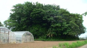 菊間天神山古墳