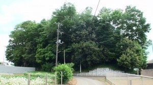 北野天神山古墳