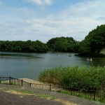 rps20130720_093141.jpg