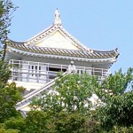 rps20130810_094727_241.jpg
