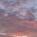 rps20131008_052001_949.jpg