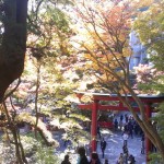 rps20131122_124345_217.jpg