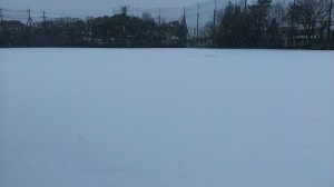 rps20140208_124141_859.jpg